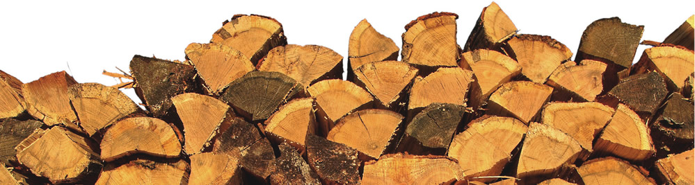Seasoned Wood Logs